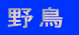 紀行