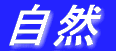 戦争
